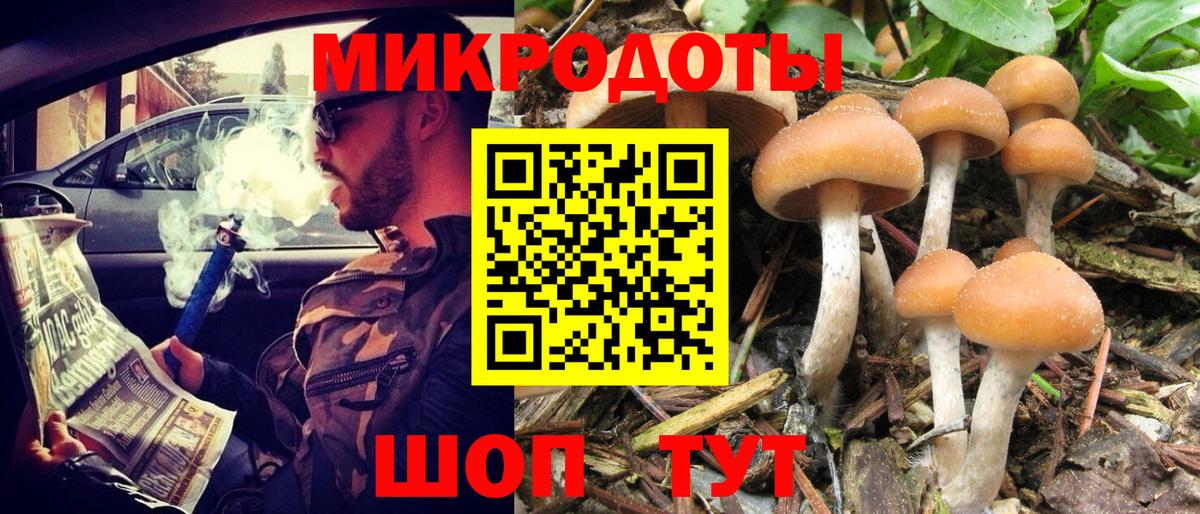 как найти   Псилоцибиновые грибы Cubensis  Вход с VPN  Новошахтинск  Галлюциногенные грибы мицелий 